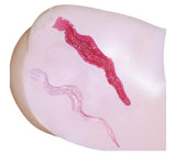 日本NPG 极上生腰-真性日暮里倒模 - 伊人成人情趣用品
 - 3